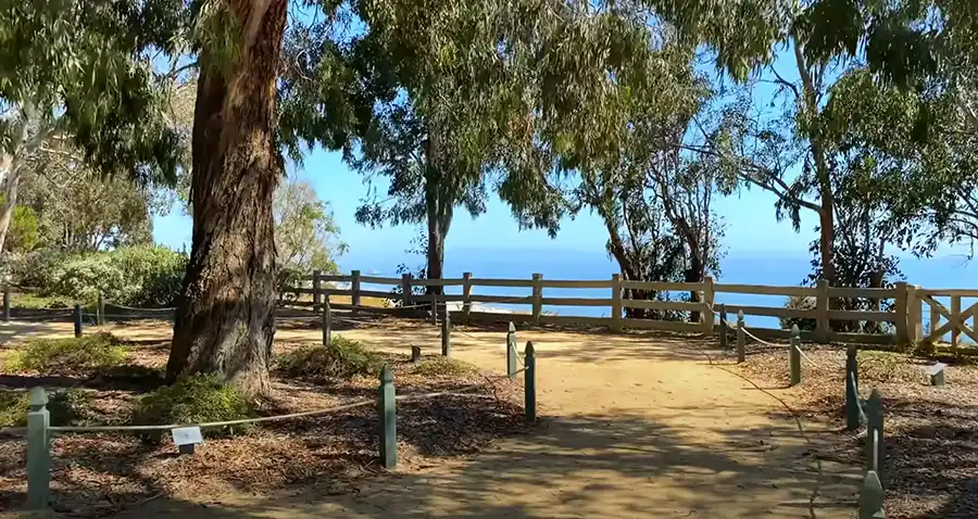 palisades-park-santa-monica